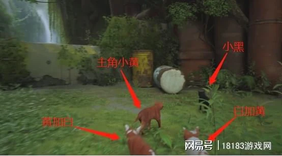 《流浪/Stray》遊戲評測 喵星人的奇妙冒險