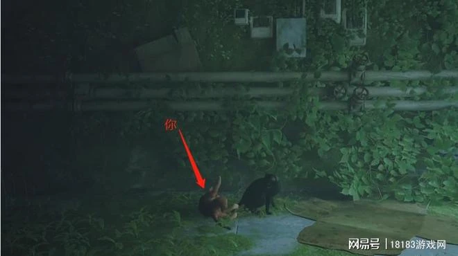 《流浪/Stray》遊戲評測 喵星人的奇妙冒險