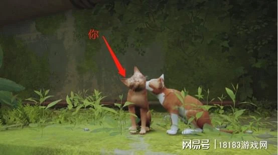 《流浪/Stray》遊戲評測 喵星人的奇妙冒險