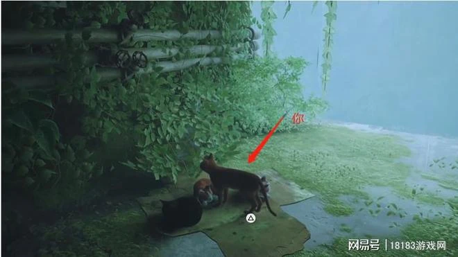 《流浪/Stray》遊戲評測 喵星人的奇妙冒險