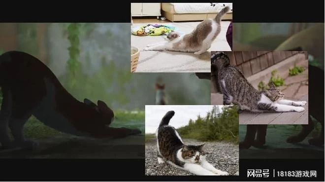 《流浪/Stray》遊戲評測 喵星人的奇妙冒險