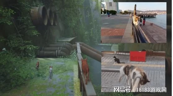 《流浪/Stray》遊戲評測 喵星人的奇妙冒險