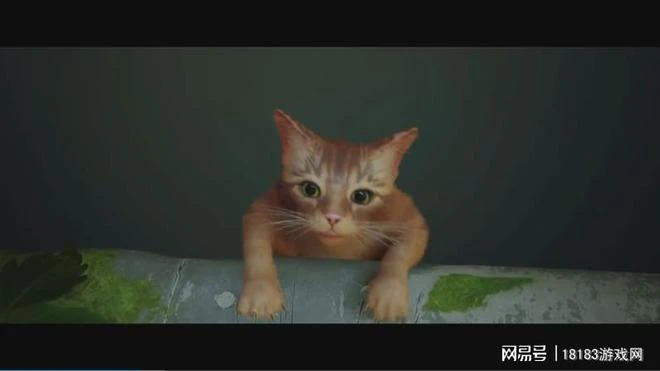 《流浪/Stray》遊戲評測 喵星人的奇妙冒險