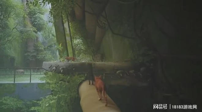 《流浪/Stray》遊戲評測 喵星人的奇妙冒險