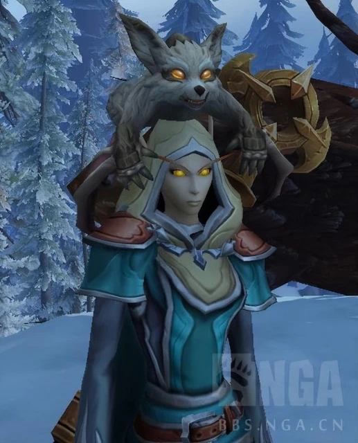 魔獸世界10.0巨龍時代—救助狐龍支線任務線介紹