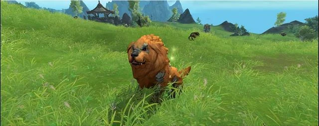 魔獸10.0巨龍時代歐恩哈拉平原支線任務：泰瓦恩的使命