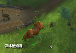 魔獸10.0巨龍時代歐恩哈拉平原支線任務:泰瓦恩的使命