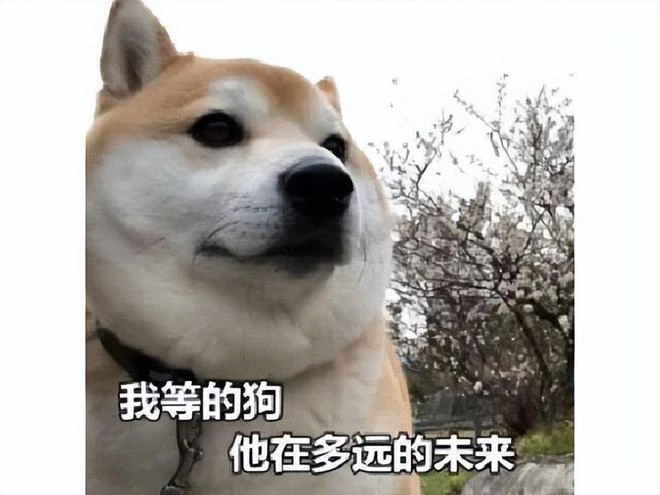 4年前的國產最大黑馬,重新衝上熱銷榜前三,卻迎來2000多個差評