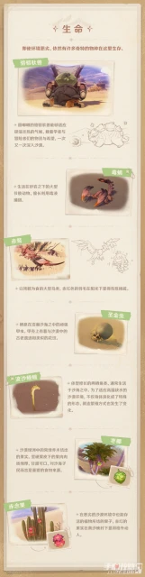 原神須彌沙漠資源分布一覽