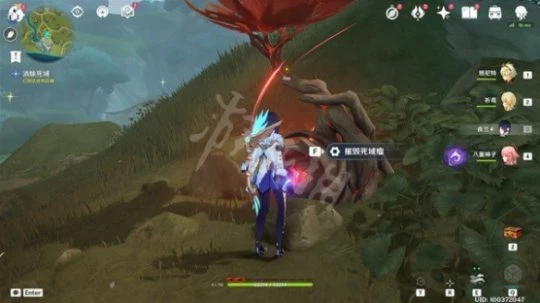 《原神》林中奇遇任務怎麼做?3.0林中奇遇任務攻略分享