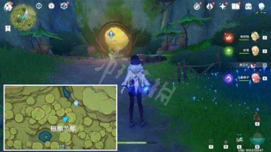 《原神》願為一炊夢任務怎麼做？願為一炊夢任務攻略分享