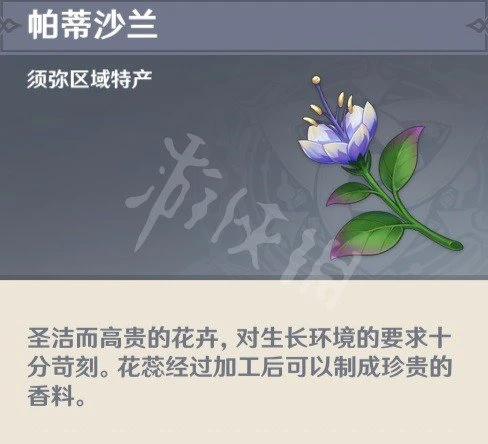 《原神》帕蒂沙蘭如何獲得？3.0帕蒂沙蘭採集路線介紹