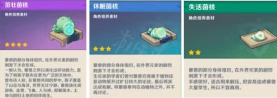 《原神》蕈獸不同狀態下都掉落什麼?蕈獸不同狀態下掉落物介紹