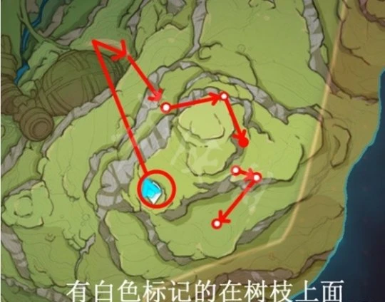 《原神》樹王聖體菇如何獲得？樹王聖體菇採集路線推薦