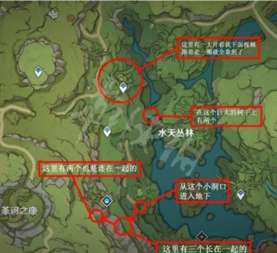 《原神》樹王聖體菇如何獲得？樹王聖體菇採集路線推薦