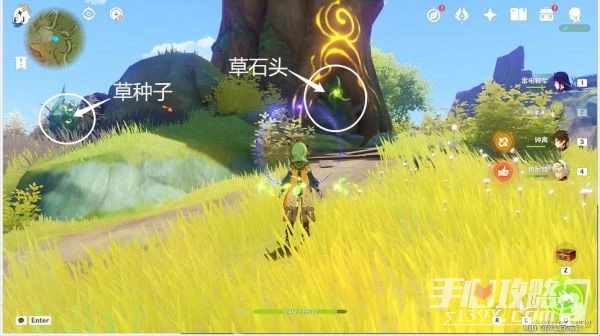 《原神》須彌潛在死域位置介紹