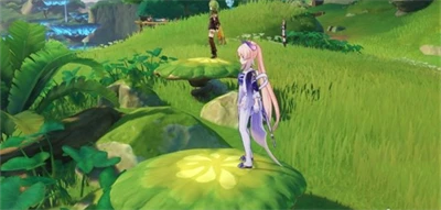 《原神》須彌雙人寶箱位置介紹