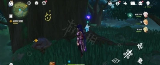 《原神》水天叢林符號在哪裡？水天叢林解謎方法