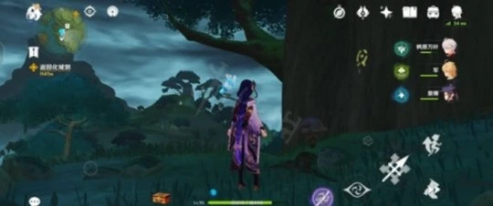 《原神》水天叢林符號在哪裡？水天叢林解謎方法