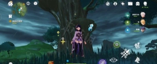 《原神》水天叢林符號在哪裡？水天叢林解謎方法