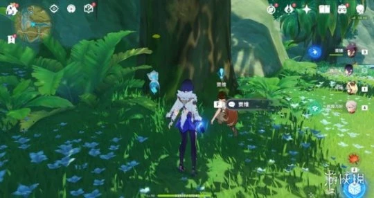 《原神》趁夢想氣息逗留任務怎麼玩?趁夢想氣息逗留任務玩法一覽