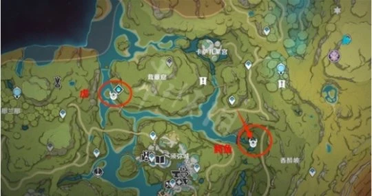 《原神》兇猛動物防治任務怎麼做?兇猛動物防治任務攻略分享