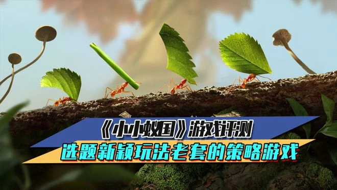 《小小蟻國》遊戲評測 選題新穎、玩法老套的策略遊戲