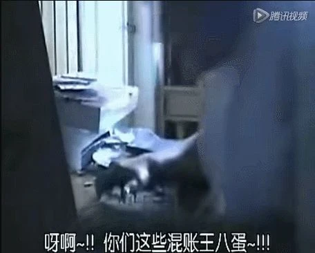 2022年，人們仍在對抗「網際網路失憶症」