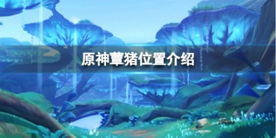 《原神》蕈豬在哪裡？蕈豬位置介紹