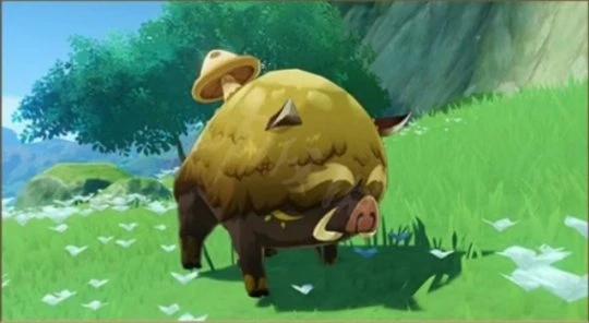 《原神》蕈豬在哪裡？蕈豬位置介紹