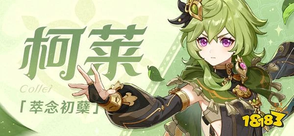 原神須彌16處潛在死域位置一覽 未成形死域都在哪