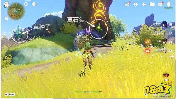 原神須彌16處潛在死域位置一覽 未成形死域都在哪