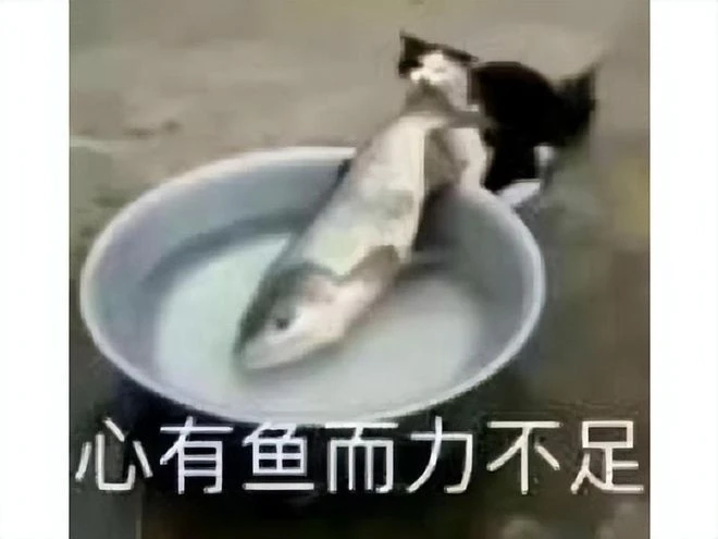 巫妖王之怒上線，人氣暴漲11272%，17年歷史的魔獸懷舊服竟然崩了