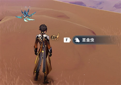 原神聖甲蟲多久刷新一次