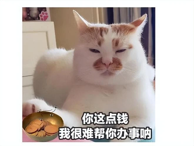 魔獸懷舊服上線，伺服器登不進去，玩家吐槽：伺服器也是08年的？