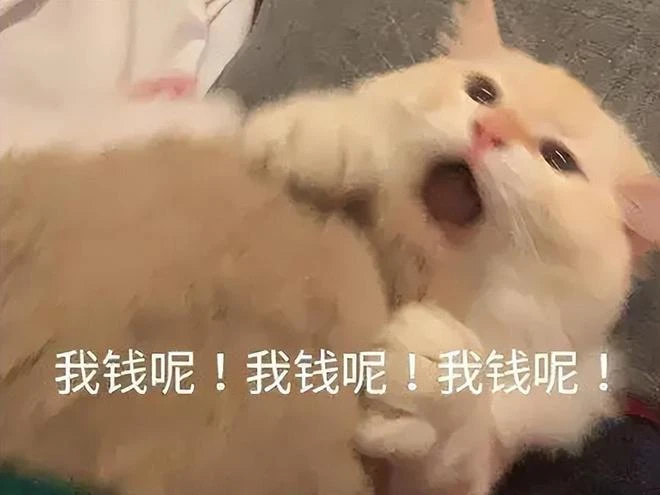 最高立省200元！Steam國慶打折遊戲，一折跳樓價就問你買不買