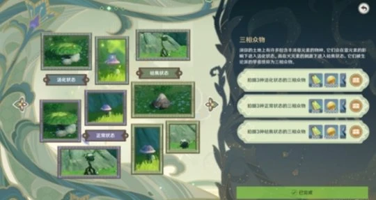 《原神》掠影拾真第二關怎麼做？掠影拾真第二關方法介紹