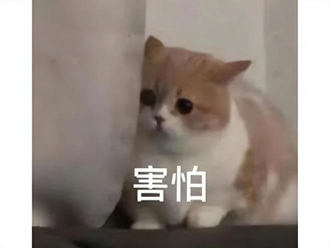 Steam好評率95%，5天銷量破30萬！史萊姆的魅力怎麼這麼大