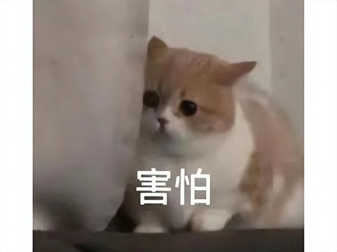 436元的遊戲就這？23年經典IP重製卻被噴，玩家：SE你行不行？