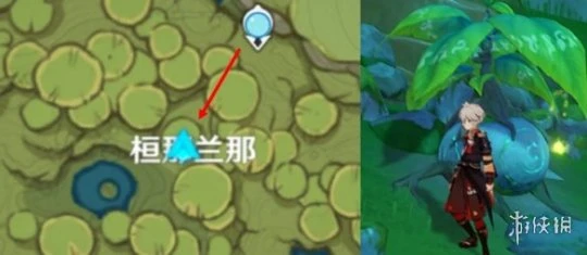 《原神》關於森林的故事成就怎麼玩?關於森林的故事成就玩法一覽