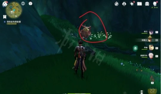 《原神》獸有失蹄任務怎麼做？獸有失蹄任務詳細介紹