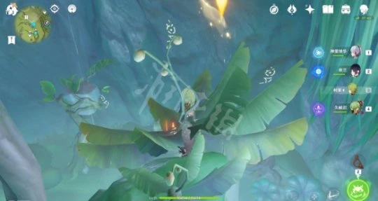 《原神》禪那園地下隱藏寶箱在哪?禪那園地下隱藏寶箱位置一覽