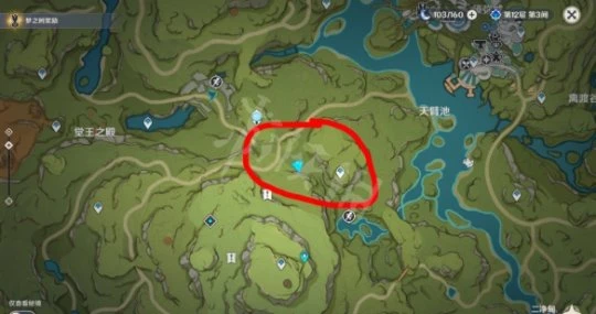 《原神》須彌二凈甸隱藏寶箱在哪?須彌二凈甸隱藏寶箱位置分享