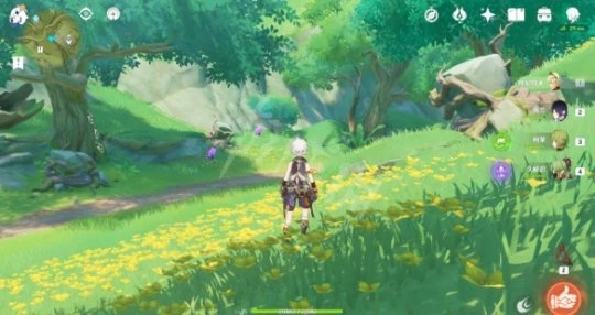 《原神》須彌二凈甸隱藏寶箱在哪?須彌二凈甸隱藏寶箱位置分享