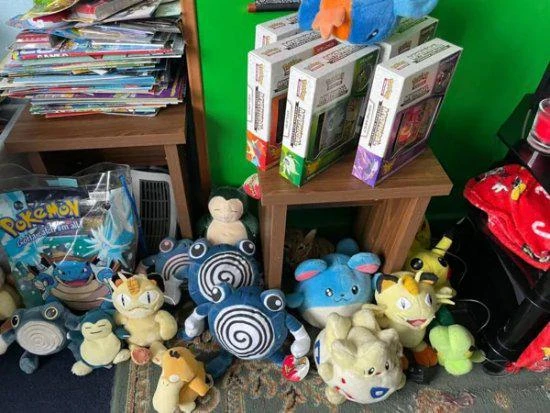 史上最大寶可夢收藏將拍賣 交易額或高達240萬元