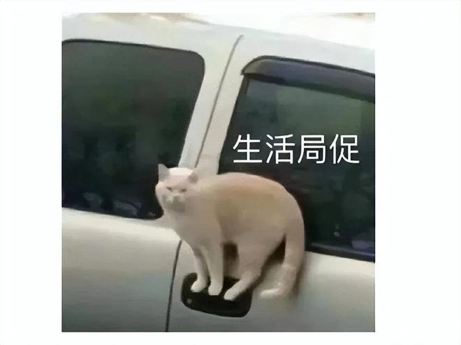 守望先鋒2一上線就遭攻擊,老外評分僅1.2,玩家吐槽:出懷舊服吧