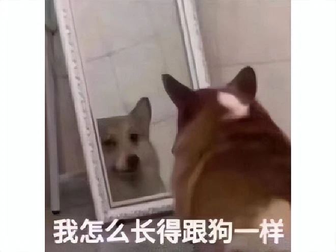 中國山寨太強了？動視暴雪新作還沒上就被碰瓷，20天就能做一個