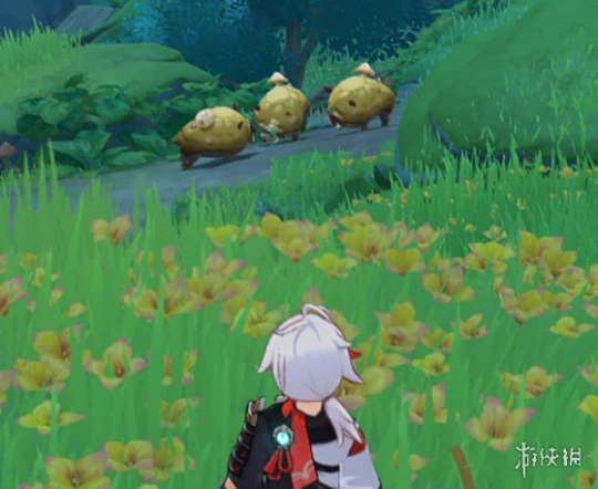 《原神》須彌怪物生態調查成就怎麼玩？須彌怪物生態調查成就玩法一覽