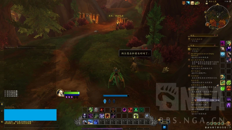 魔獸世界碧藍林海熊怪支線任務攻略