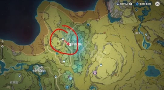 《原神》須彌無郁稠林旋曜玉帛在哪？須彌無郁稠林旋曜玉帛位置一覽